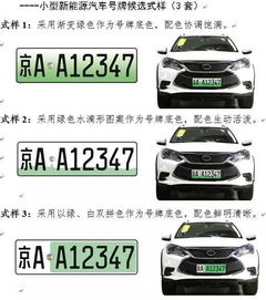 政策解读 公安部启用新能源汽车专用号牌，推动绿色出行